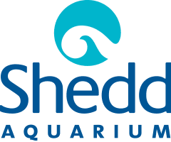 Brand Name : Brand Short Description Type Here.